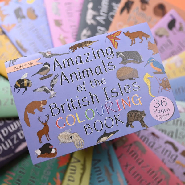 Button And Squirt : Amazing Animals Of The British Isles Colouring Book