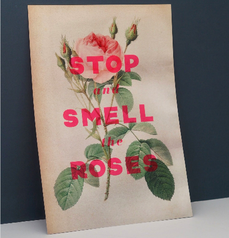Basil and Ford Stop And Smell The Roses Print