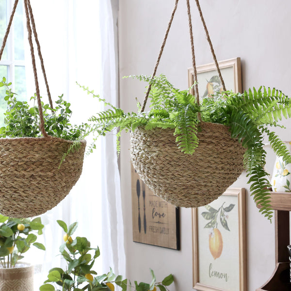 Chic Antique Wicker Hanging Basket Small