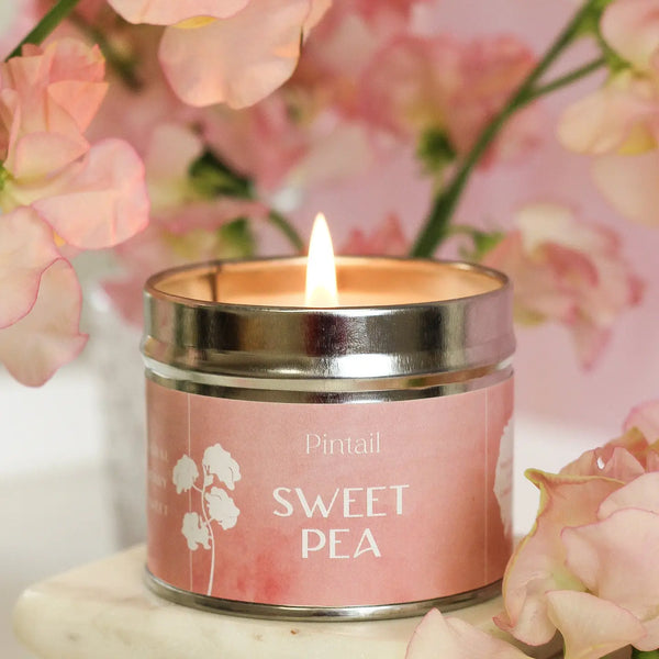 Pintail Single Wick Sweet Pea Candle