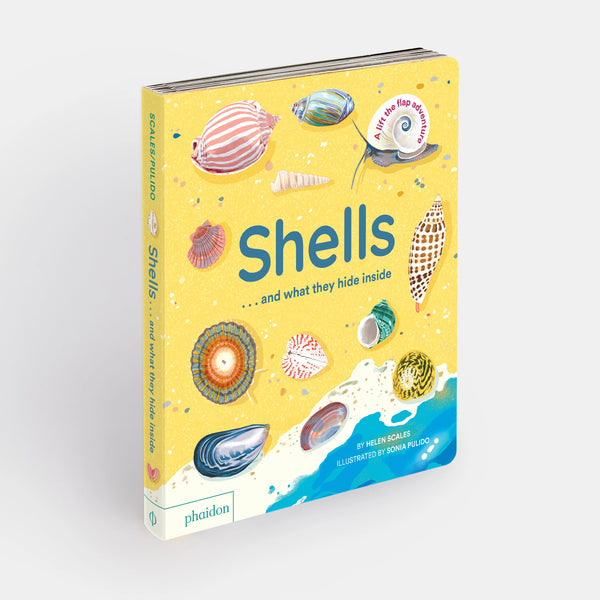 Phaidon Shells...and What They Hide Inside