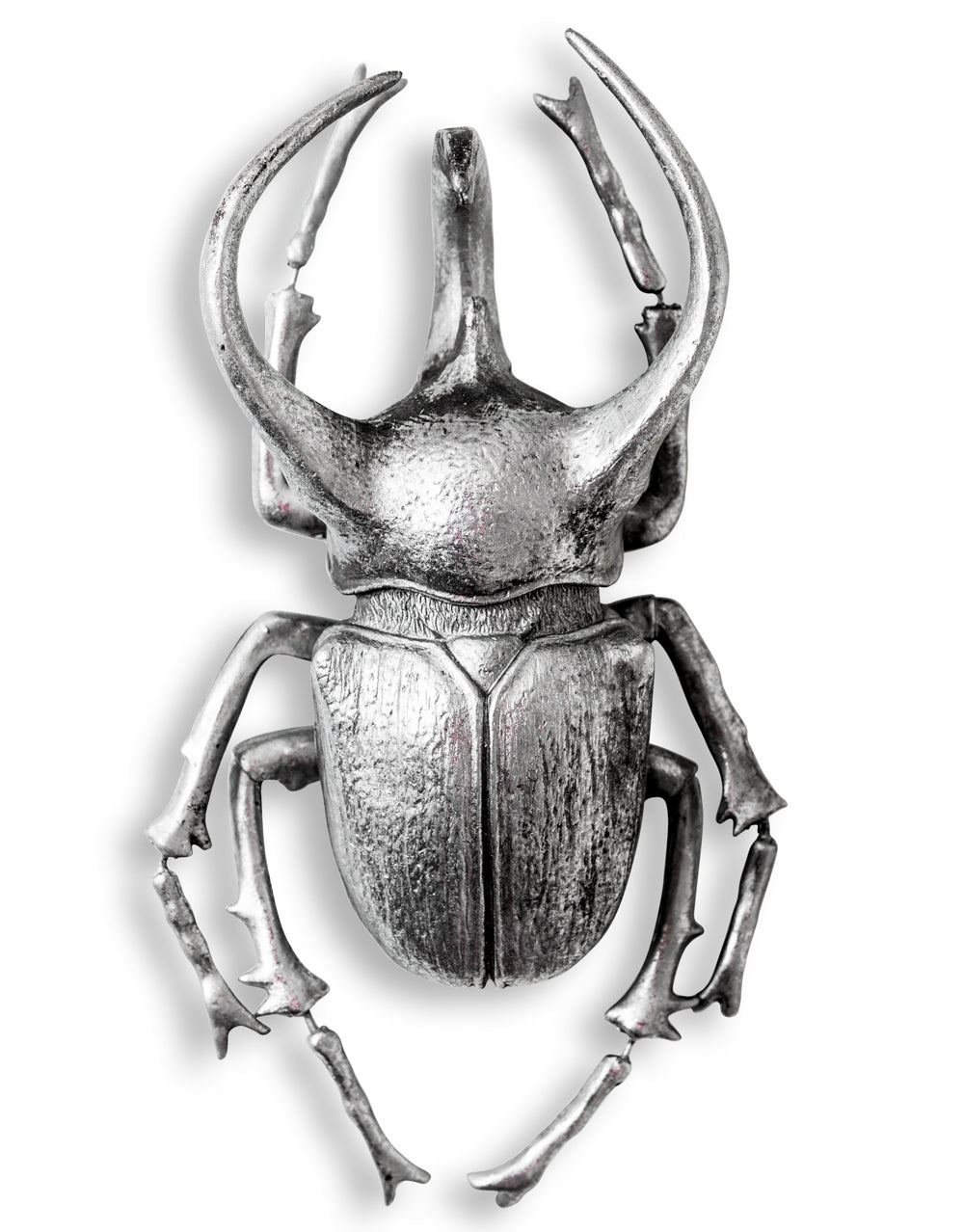 Extra Large Silver Atlas Beetle Wall Decor 