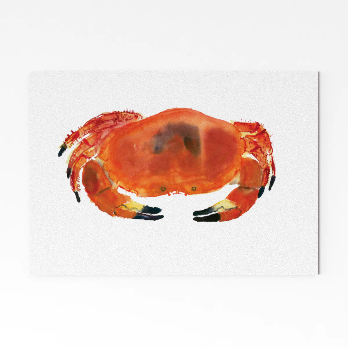 Rosie Webb  Crab A4 Art Print