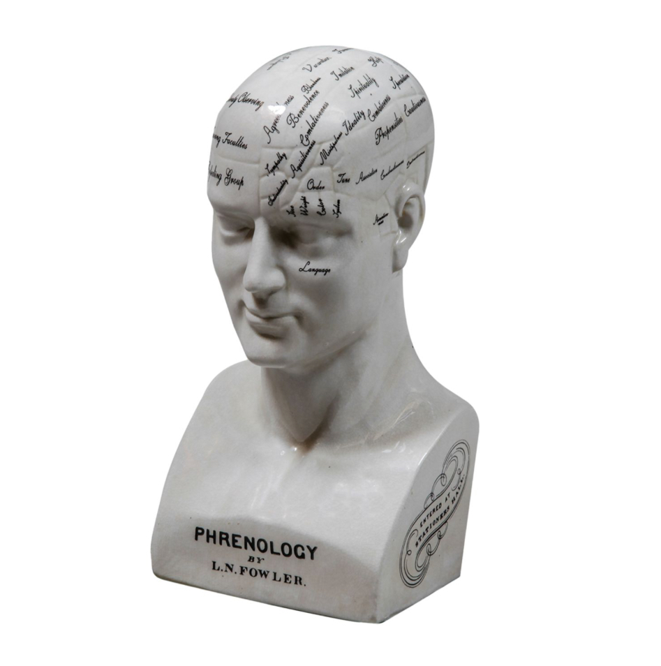 Large Antiqued Phrenology Head 