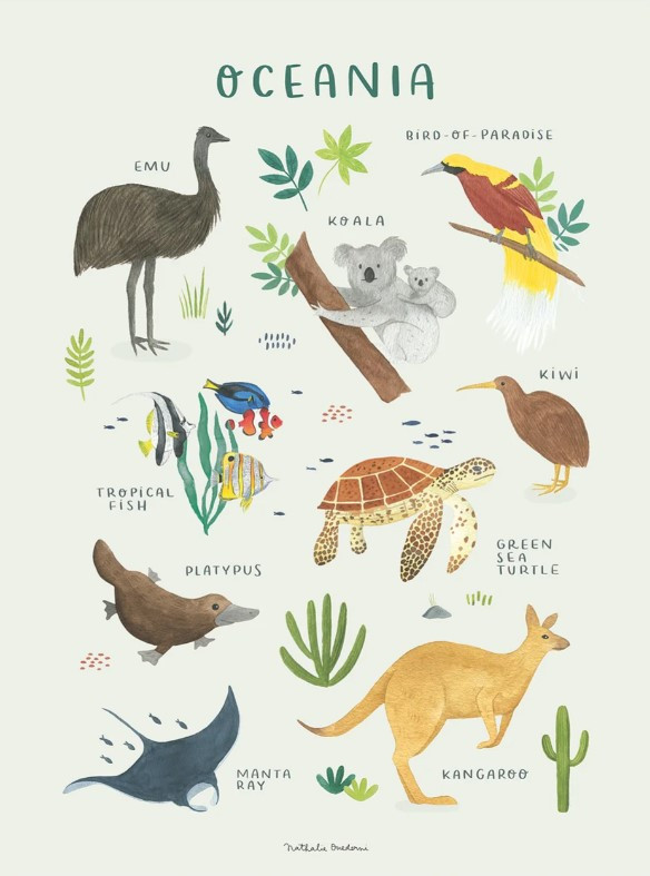 LILIPINSO Poster Living Earth - Animali Dell'oceania