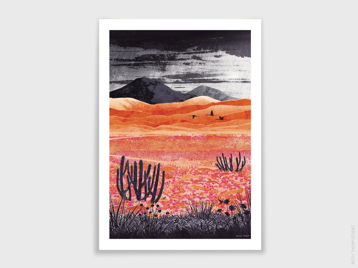 Ruth Thorp Studio Desert Blooming A3 Art Print
