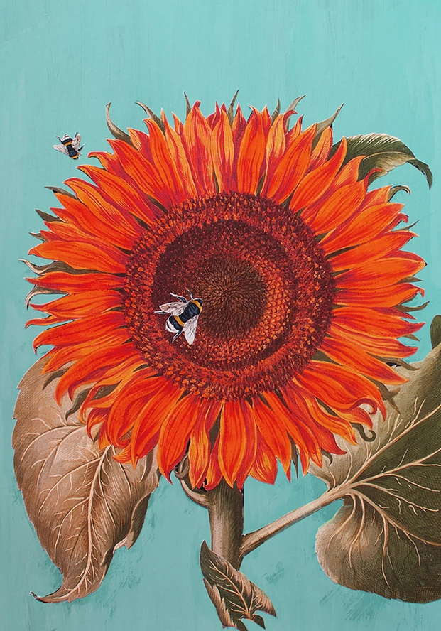 Diana Wilson Arcana Sunflower A3 Art Print