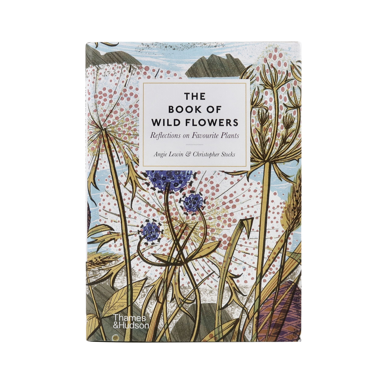 thames-and-hudson-the-book-of-wildflowers-angie-lewin-and-christopher-stocks