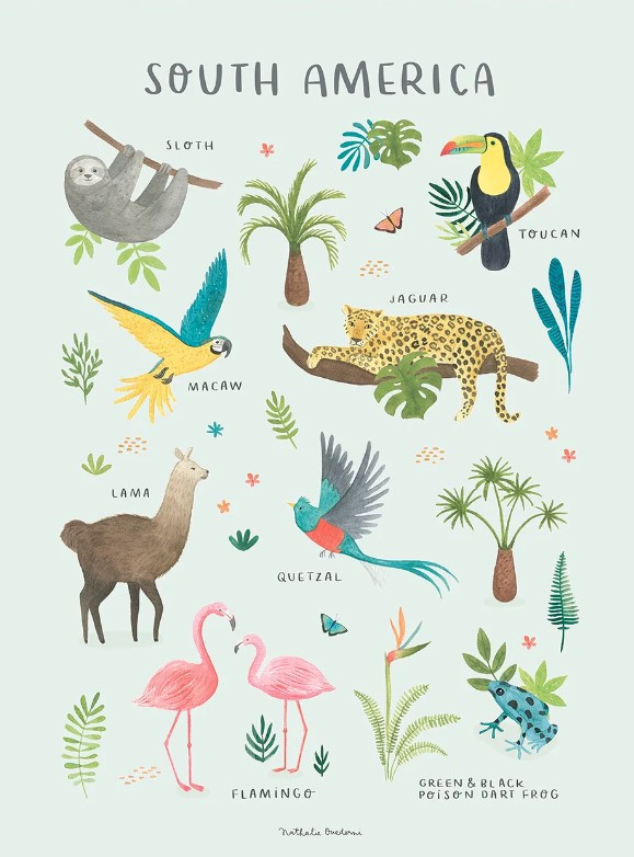 lilipinso-poster-living-earth-animali-del-sud-america-lilipinso