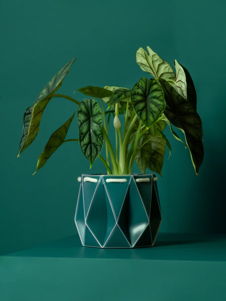 POTR Pots Origami Plant Pot 15cm - Dark Teal