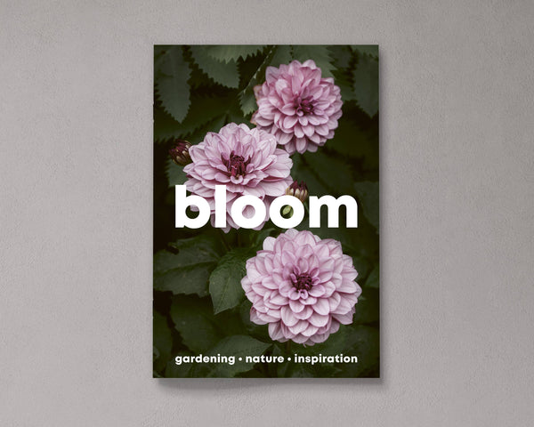 Bloom Issue 16 – Spring/summer 2024