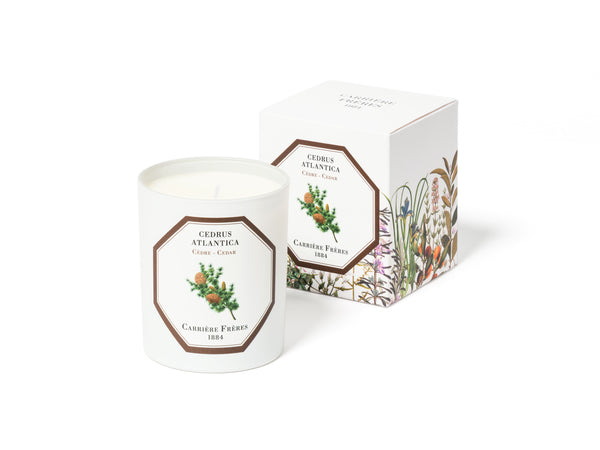 Carriere Freres Cedar Scented Candle 