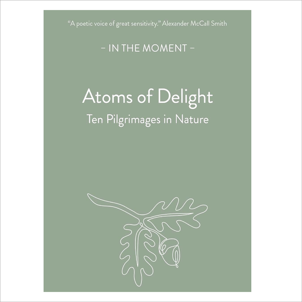 Saraband Atoms Of Delight - Kenneth Stevens