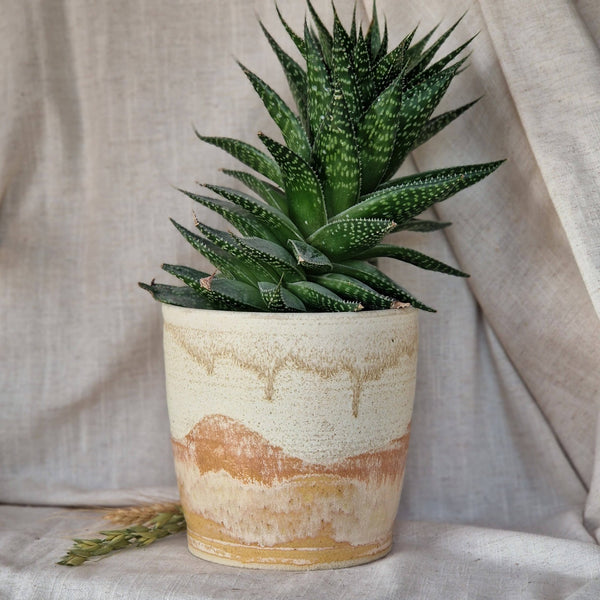 Charlotte Manser Ceramics 8cm Dunes - Natural Orange, Brown & Cream Handmade Ceramic Plant Pot
