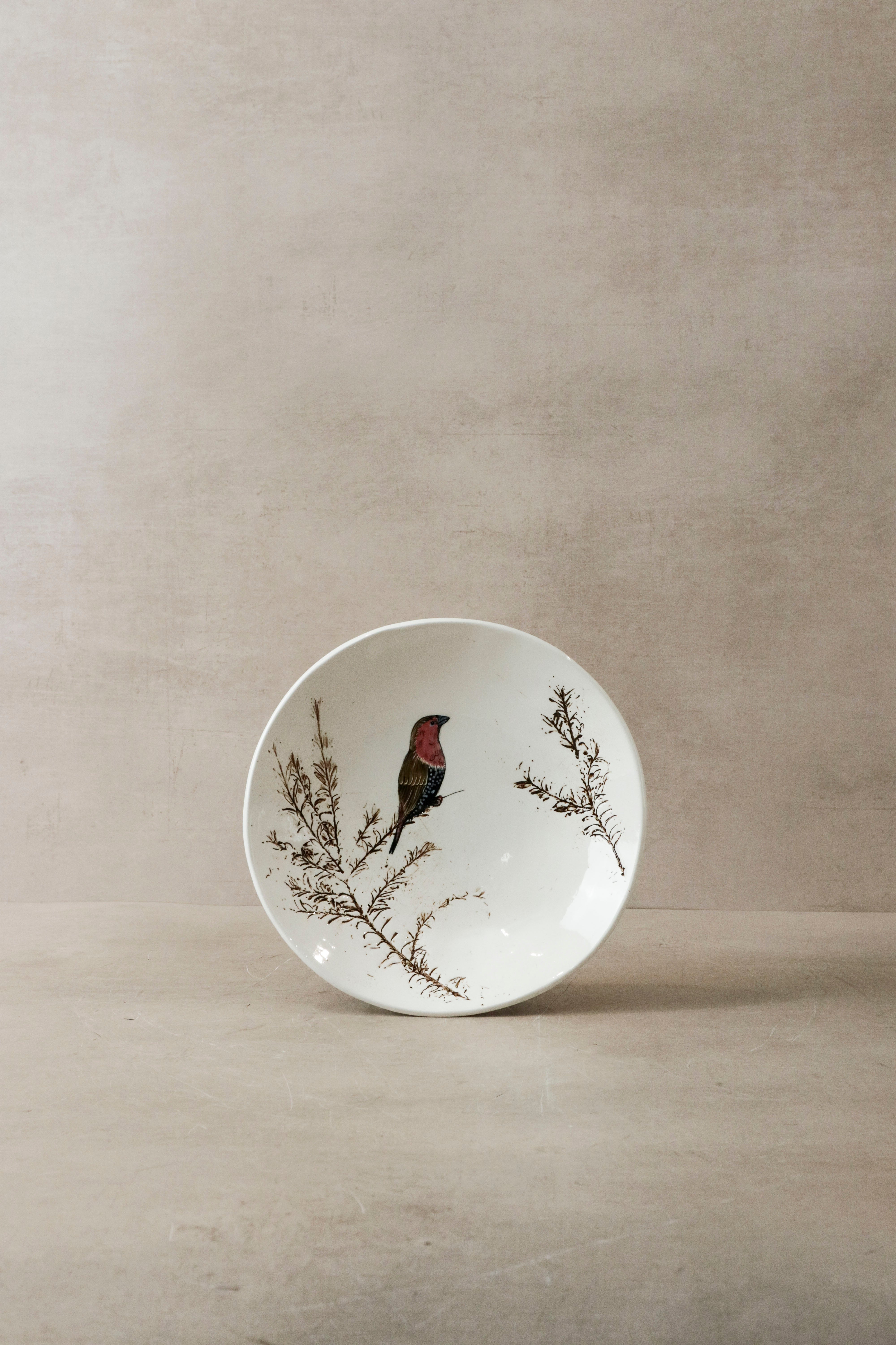 botanicalboysuk Fynbos & Bird Ceramic Plate N°18