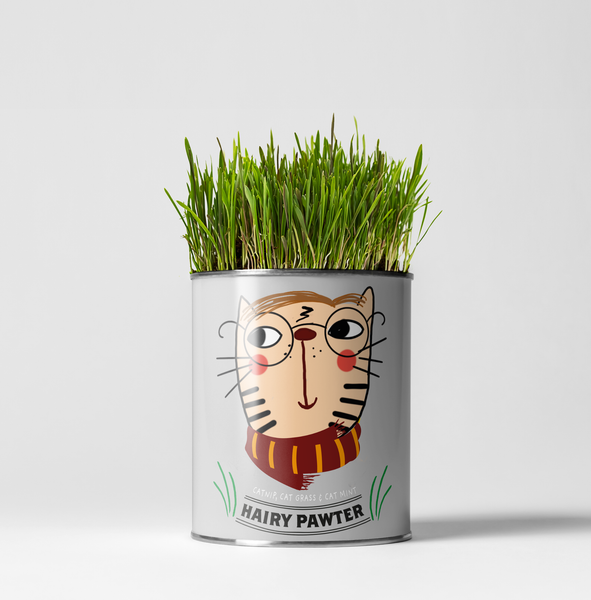 The Plant Gift Co. Hairy Pawter. Eco Grow Your Own Cat-friendly Grow Kit, Gift.