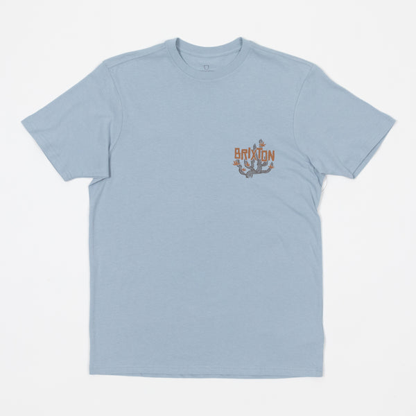 Brixton Valley Graphic T-Shirt In Light Blue