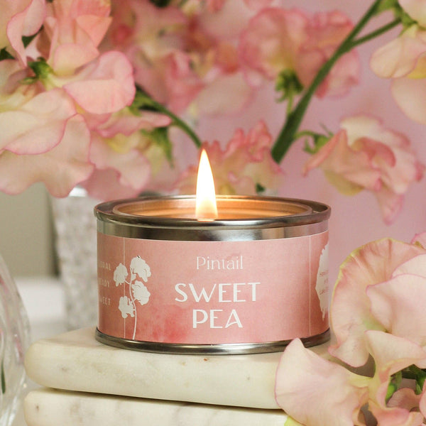 Pintail Candles | Avalon Home Sweet Pea Paint Pot Candle