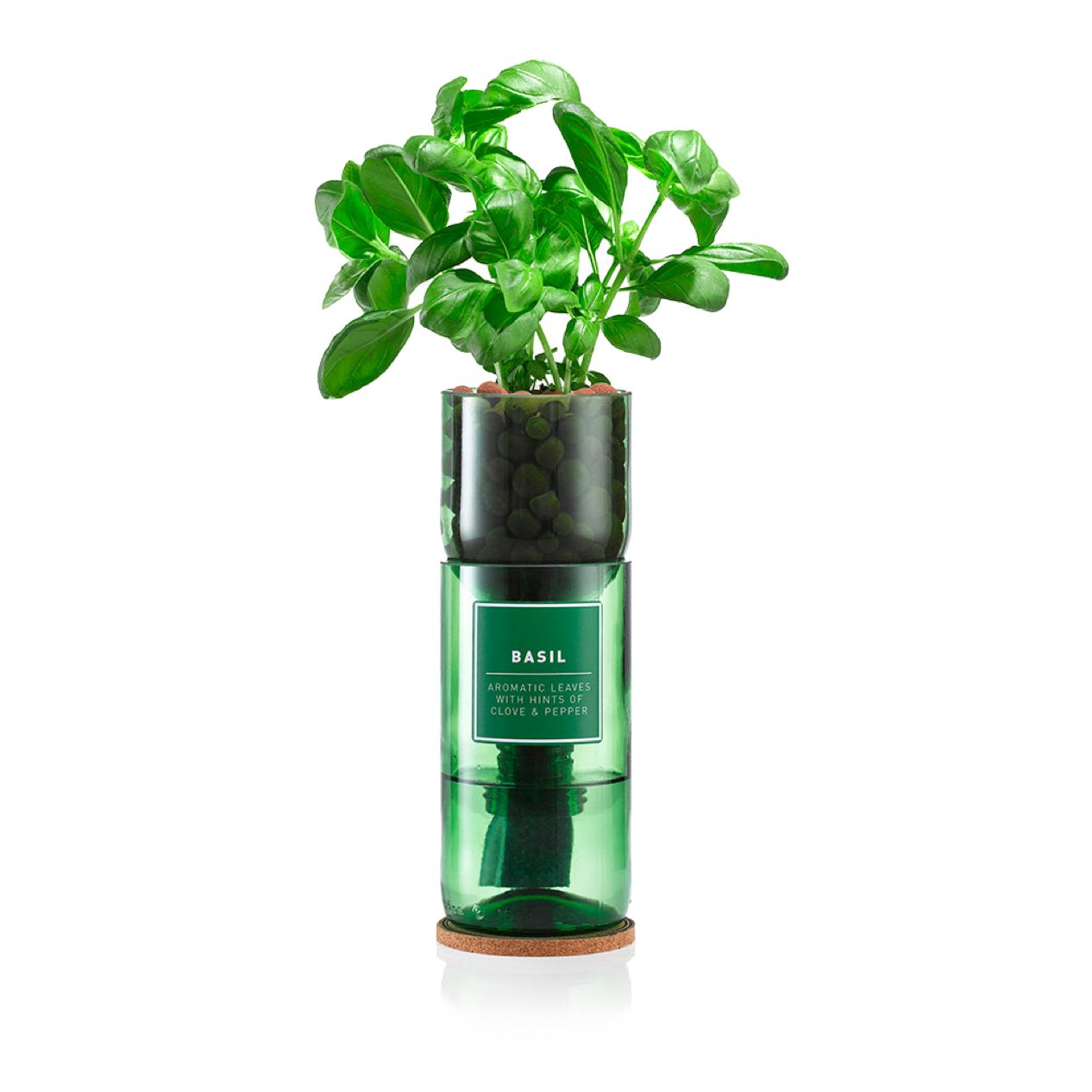 Hydro Herb Basil Hydro Herb Kit