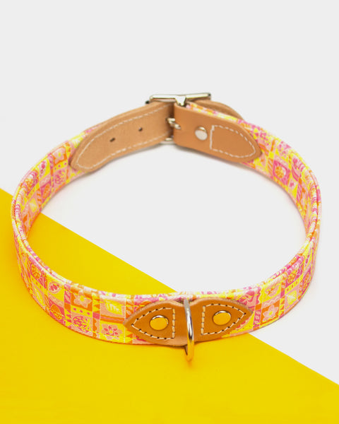 Hiro + Wolf Medium / Collar Summer Harvest Dog Collar