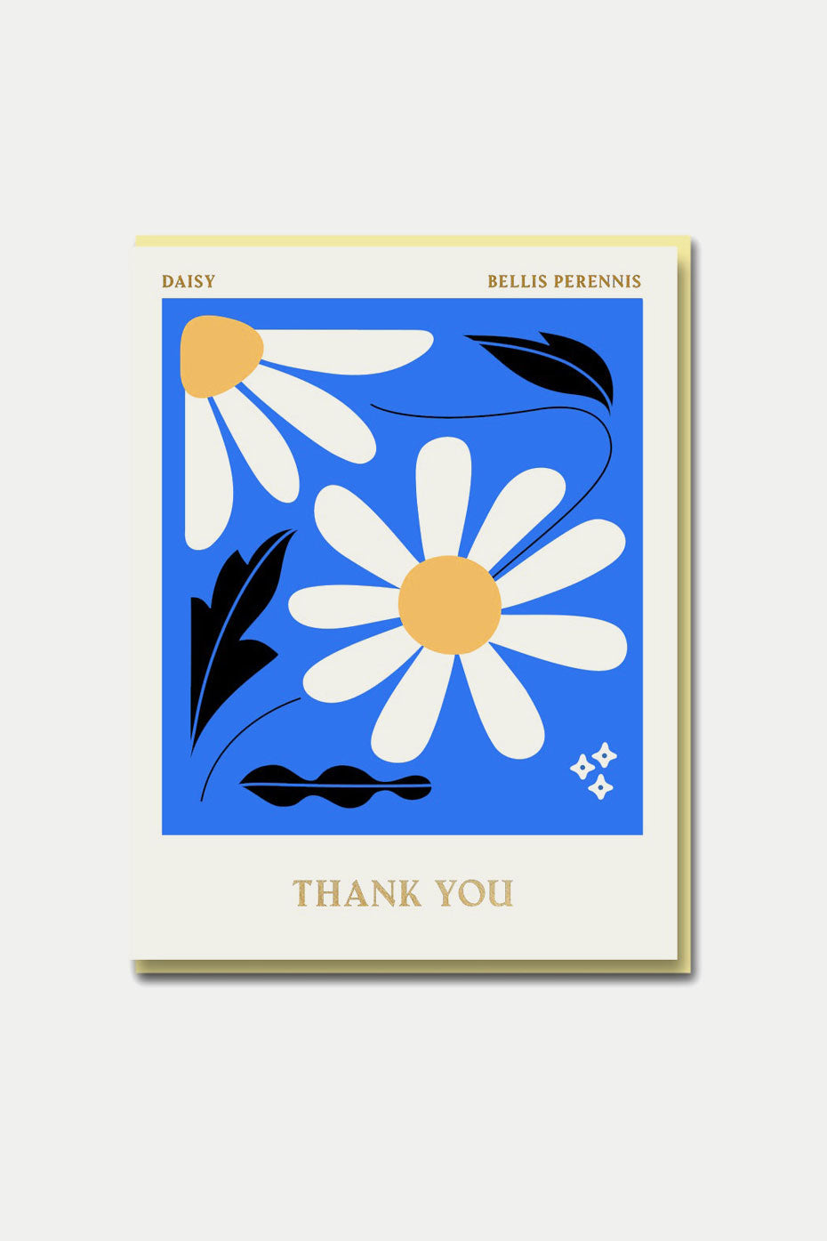 1973 Columbia Road - Daisy - Thank You Card