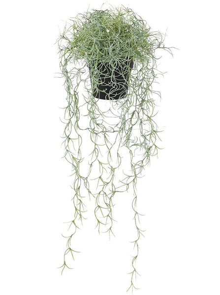 Lillian Daph Faux Spanish Moss In Pot