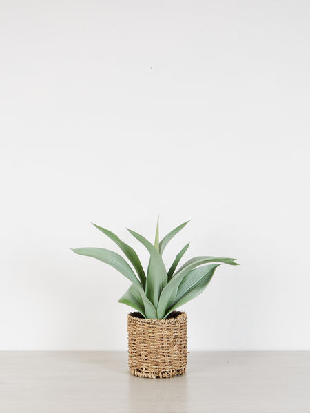 Lillian Daph Faux Agave Plant In Rattan Pot