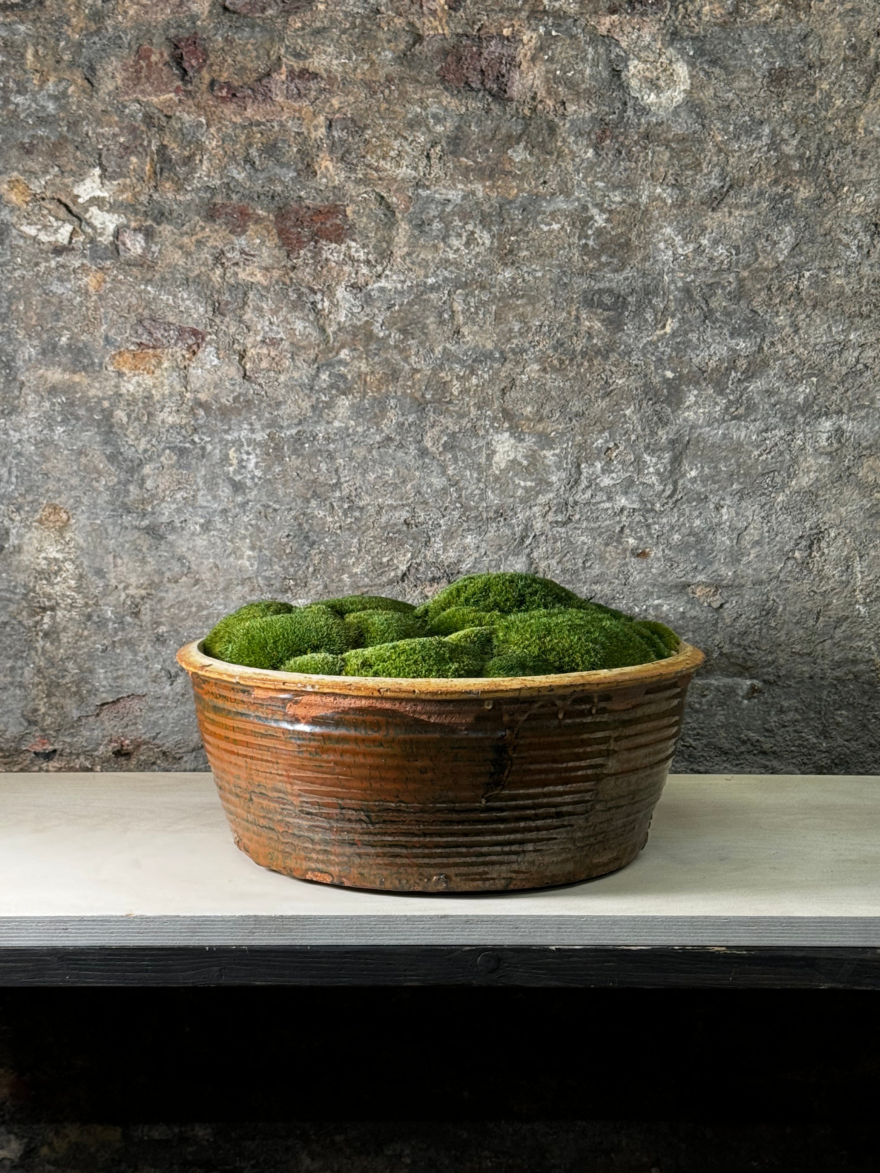 12 Vintage Ceramic Bowl With Moss Fr11