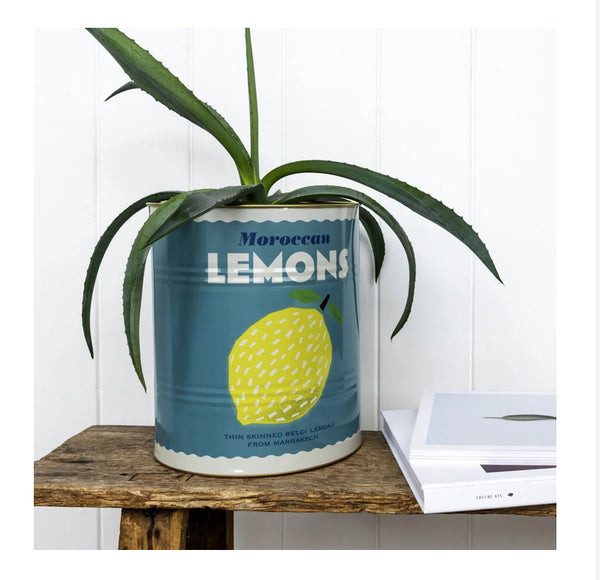 Rex London Xl Lemons Storage Tin