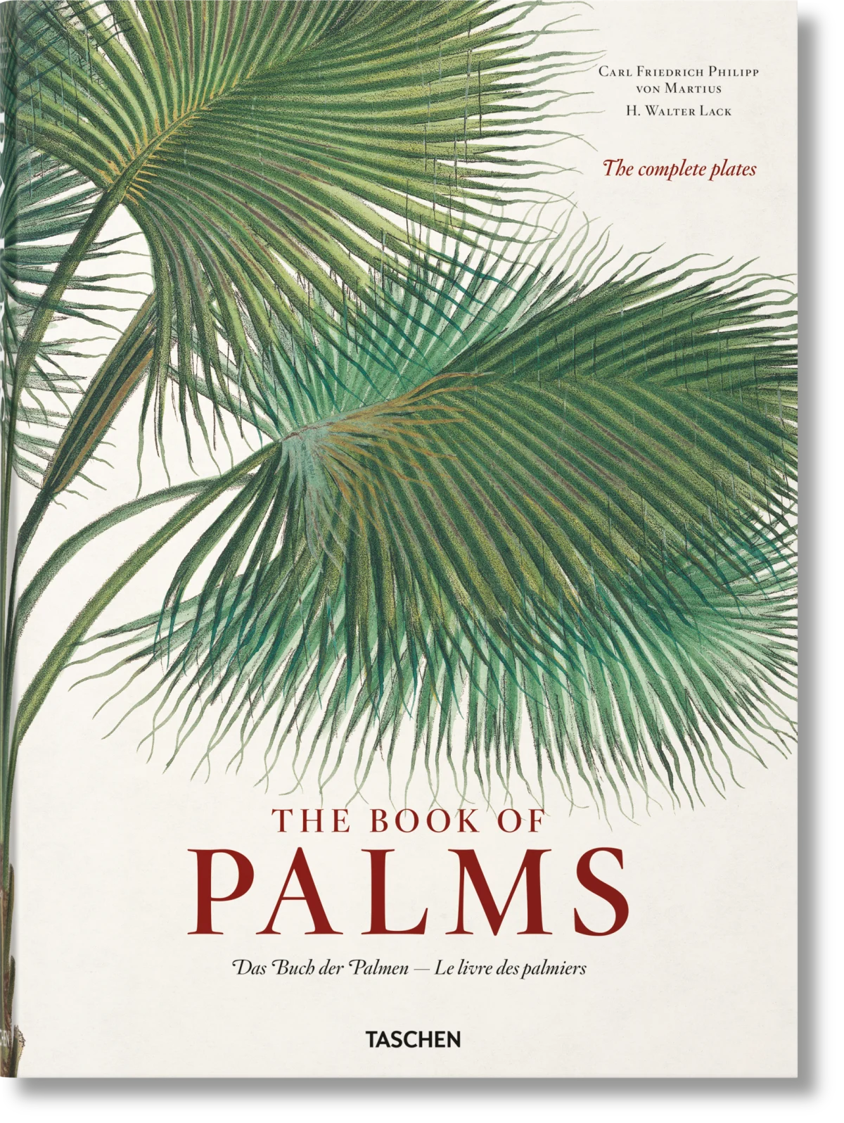Taschen The Book of Palms by H Walter Lack