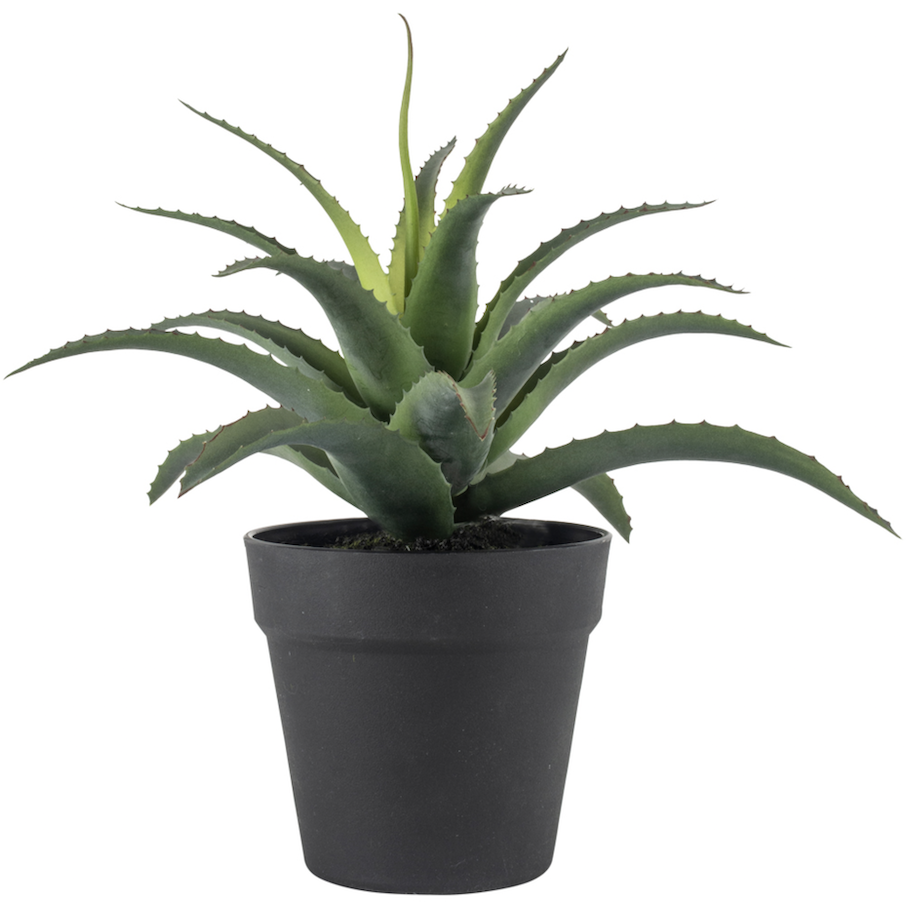 Kirkland's Home  Faux Potted Aloe Vera