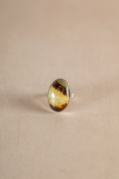 Sunshine and Snow Vintage Septarian Ring