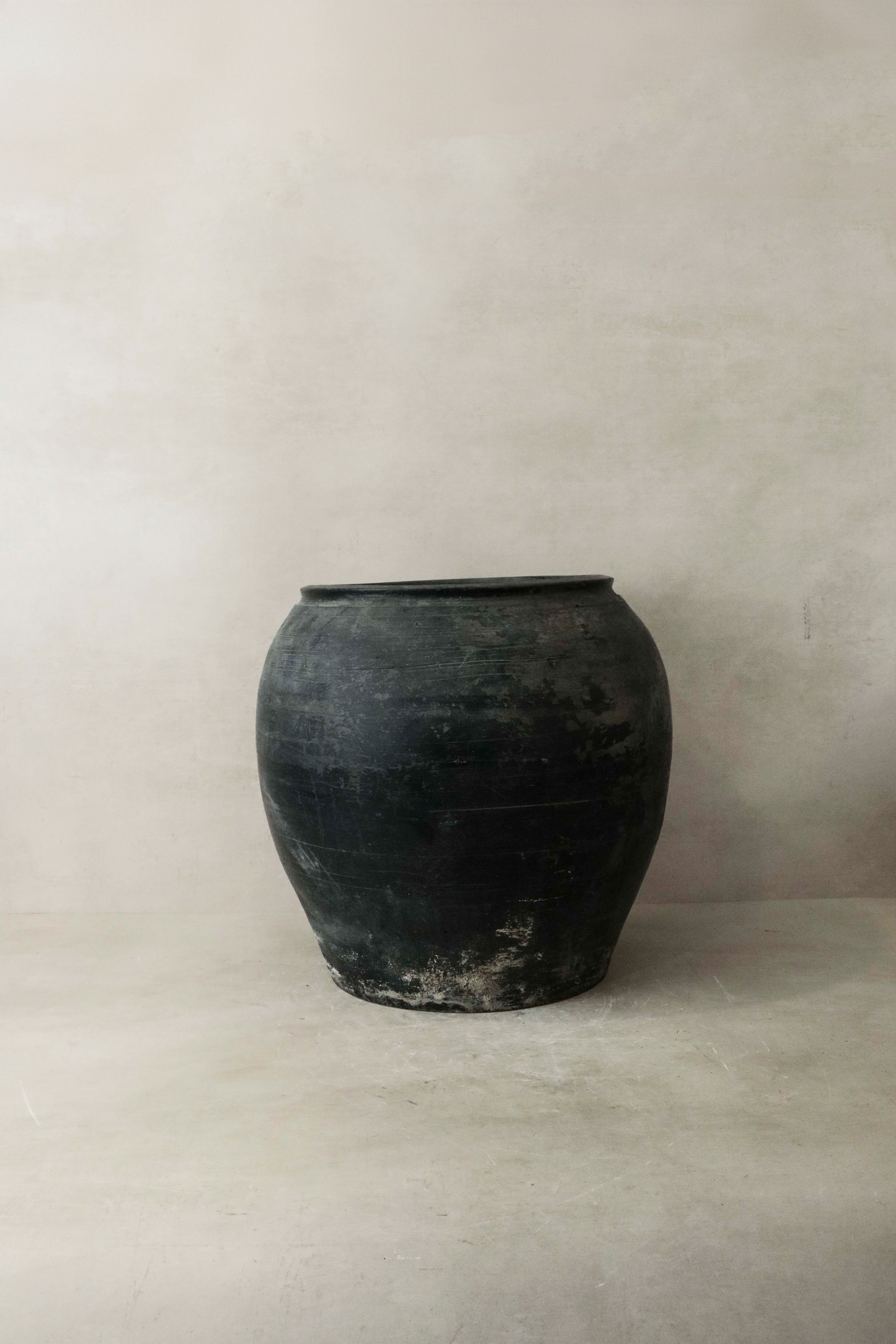 Botanical Boys Vintage Dark Pot N° 017