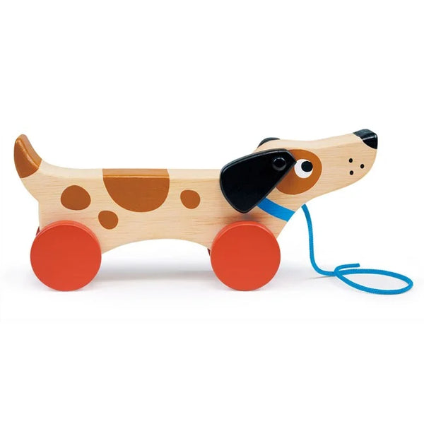 Mentari Puppy On Wheels