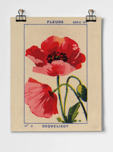 Roomytown Natural Wood Coquelicot Poppy - A3 Giclee Print