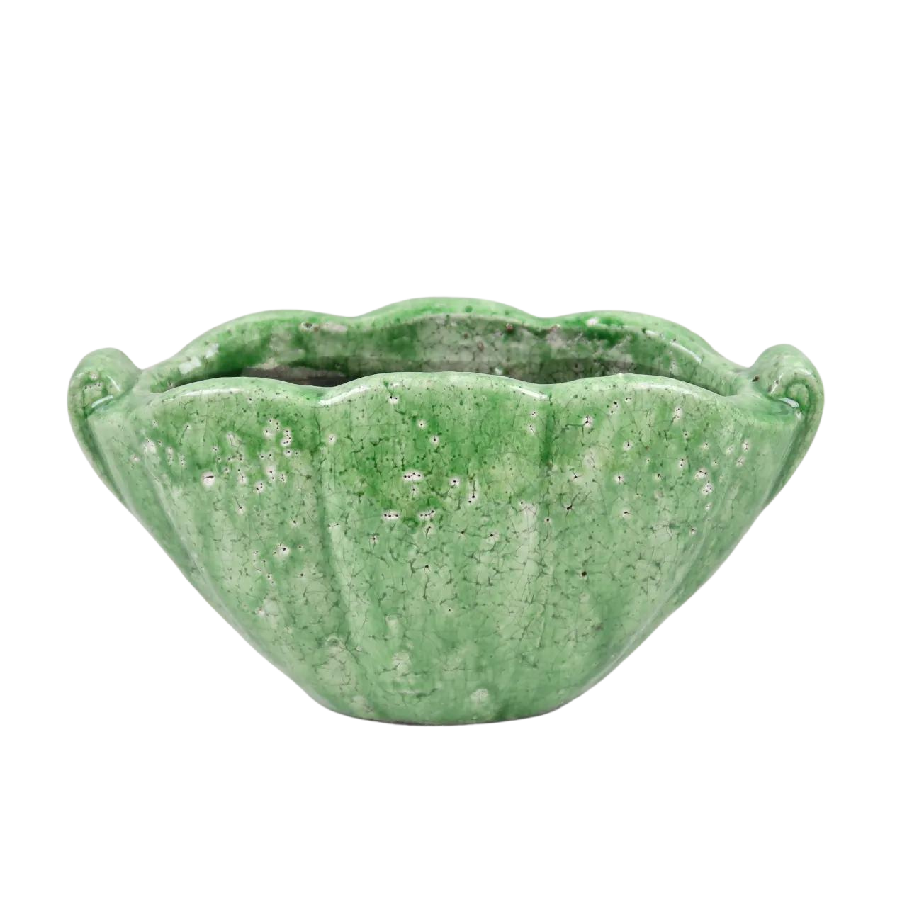 Terrace and Garden Shell Planter Verde