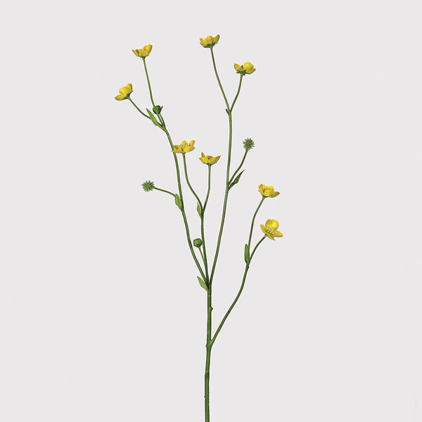 livs Yellow Meadow Buttercup Spray, H70cm