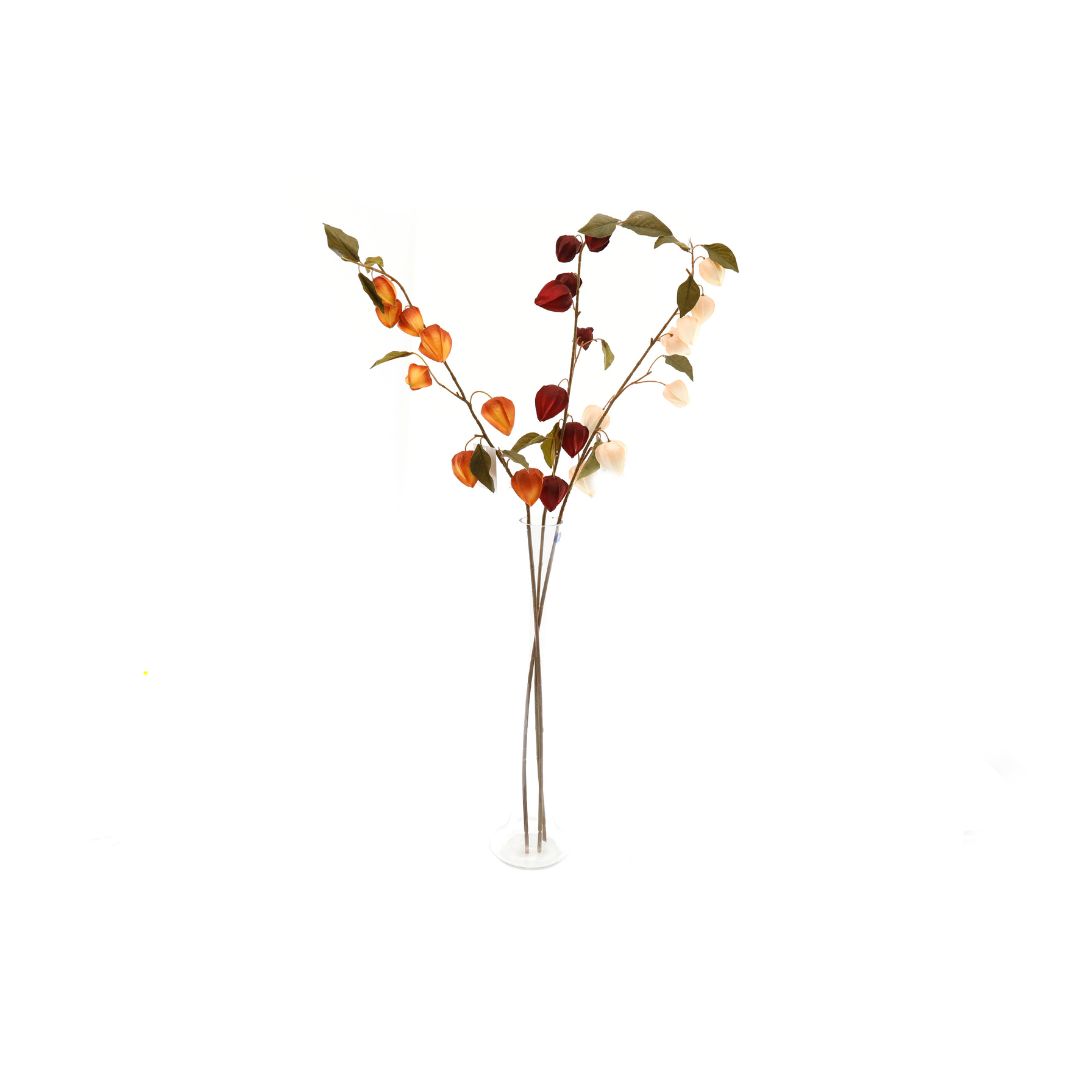 Temerity Jones Faux Physalis Chinese Lantern Branch : White, Red or Orange