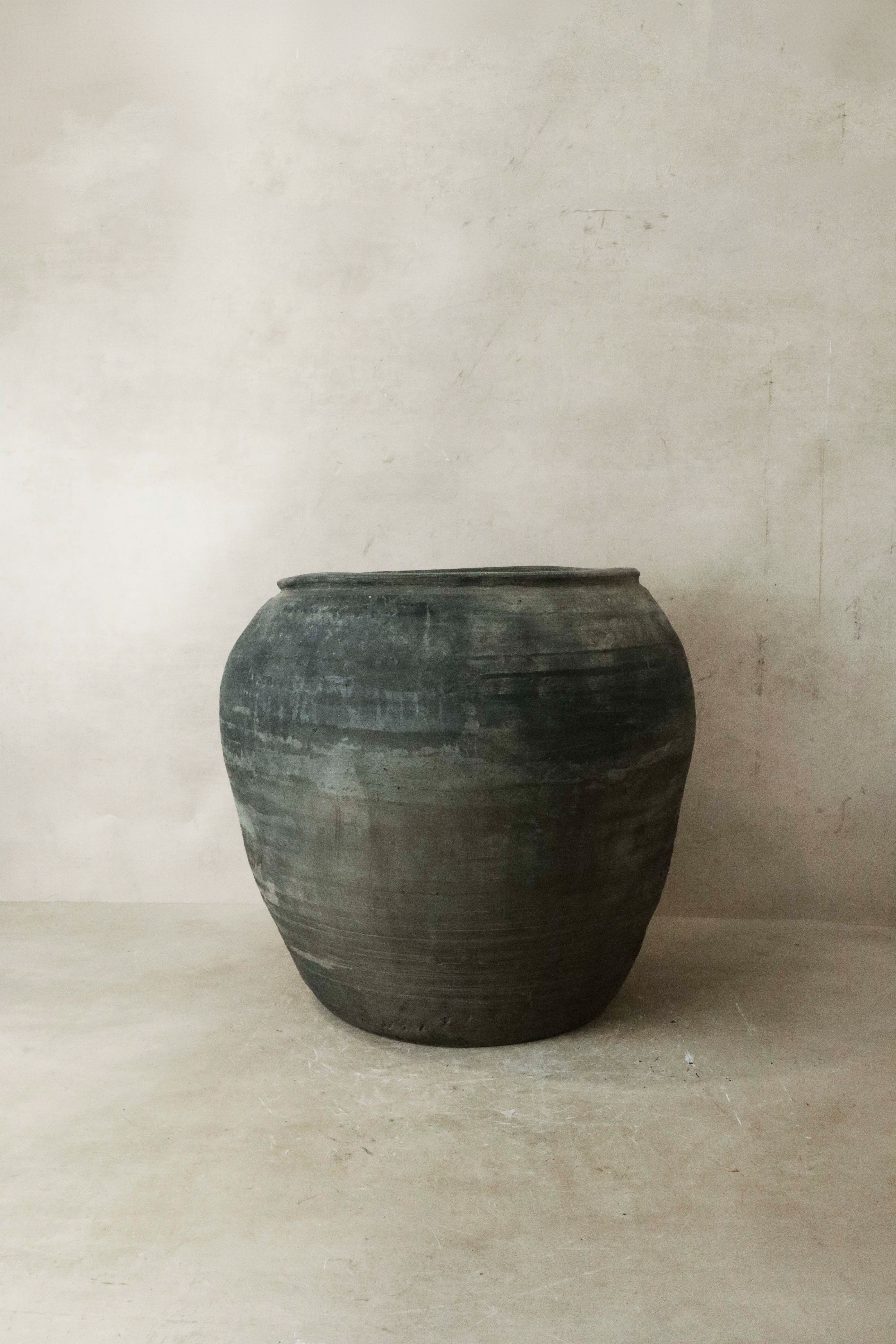 Botanical Boys Vintage Dark Pot N° 027