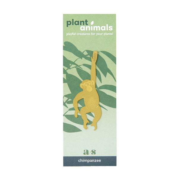 Another Studio  Plant Animal - Chimpanzee, Plant Decor