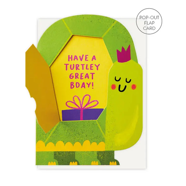 Stormy Knight Turtle Birthday Card