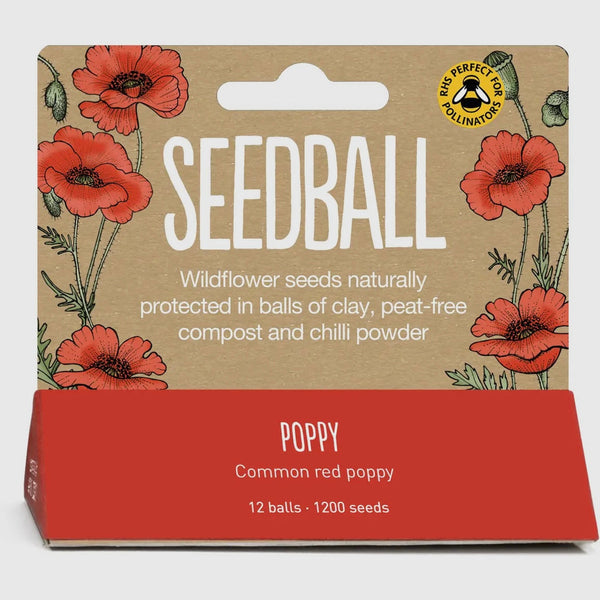 seedball Poppy Mix Seeds