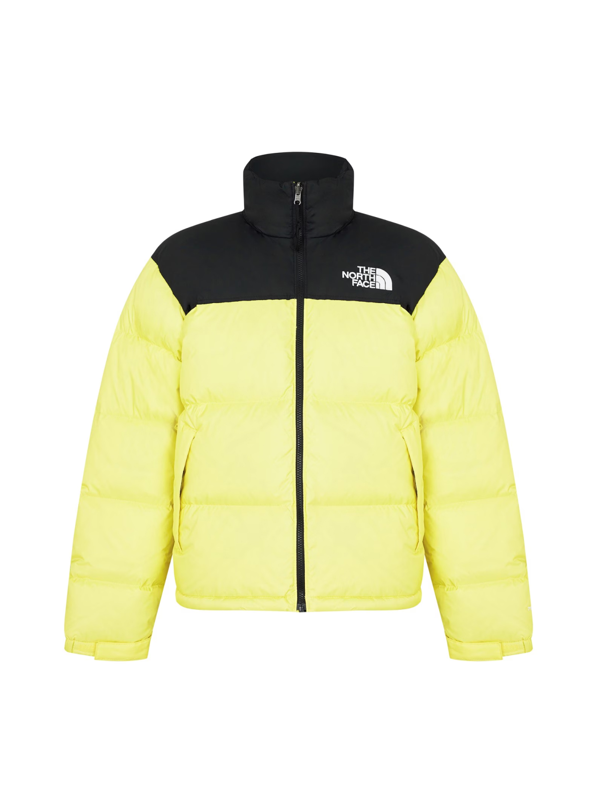 The North Face  1996 Retro Nuptse Down Jacket