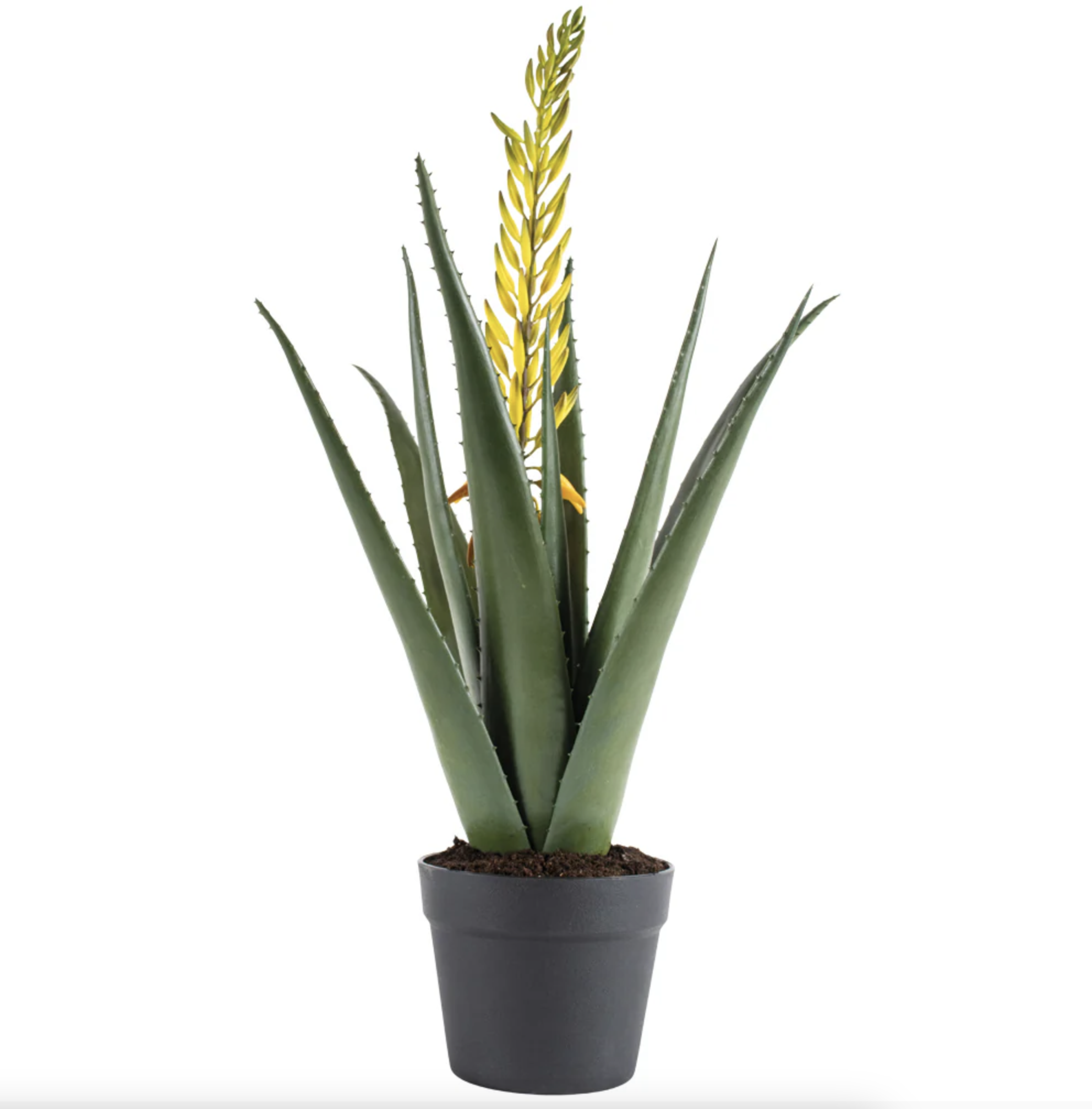 Kirkland's Home  Large Faux Aloe Vera Plant