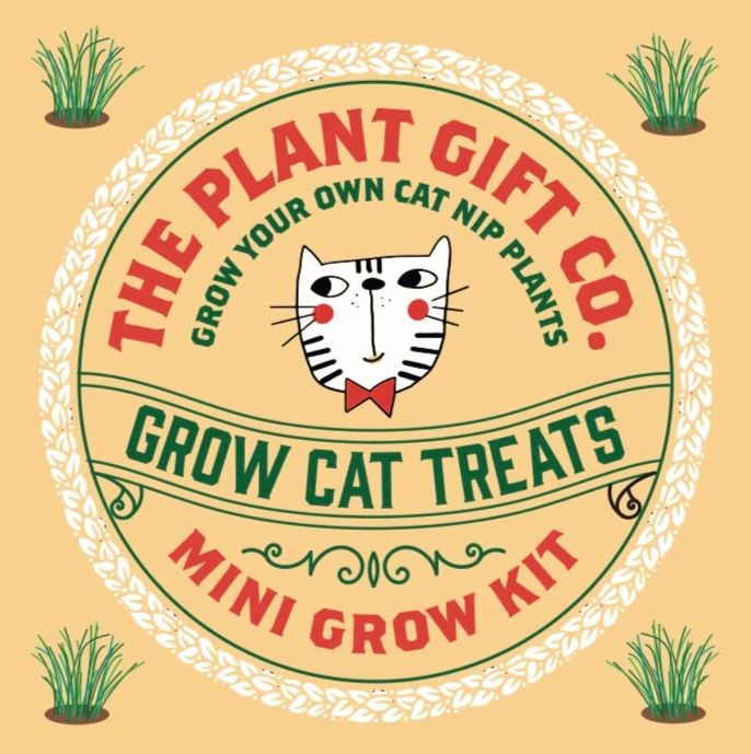 THE PLANT GIFT COMPANY Mini Cat Treats Grow Kit