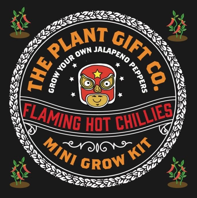 THE PLANT GIFT COMPANY Mini Jalapeno Flaming Hot Chillies Eco Grow Kit