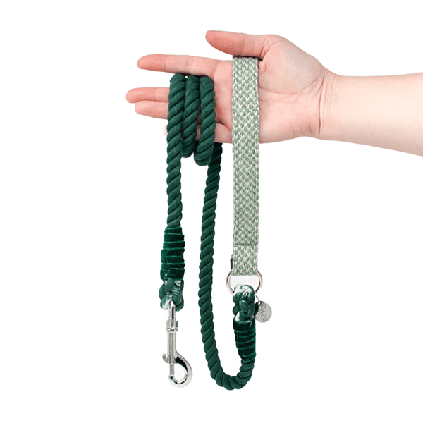 Stocky & Dee Harris Design - Luxury Rope Dog Lead - Green & Dove