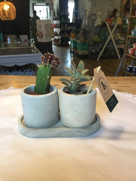 Concrete & Cacti Plant Tray Set