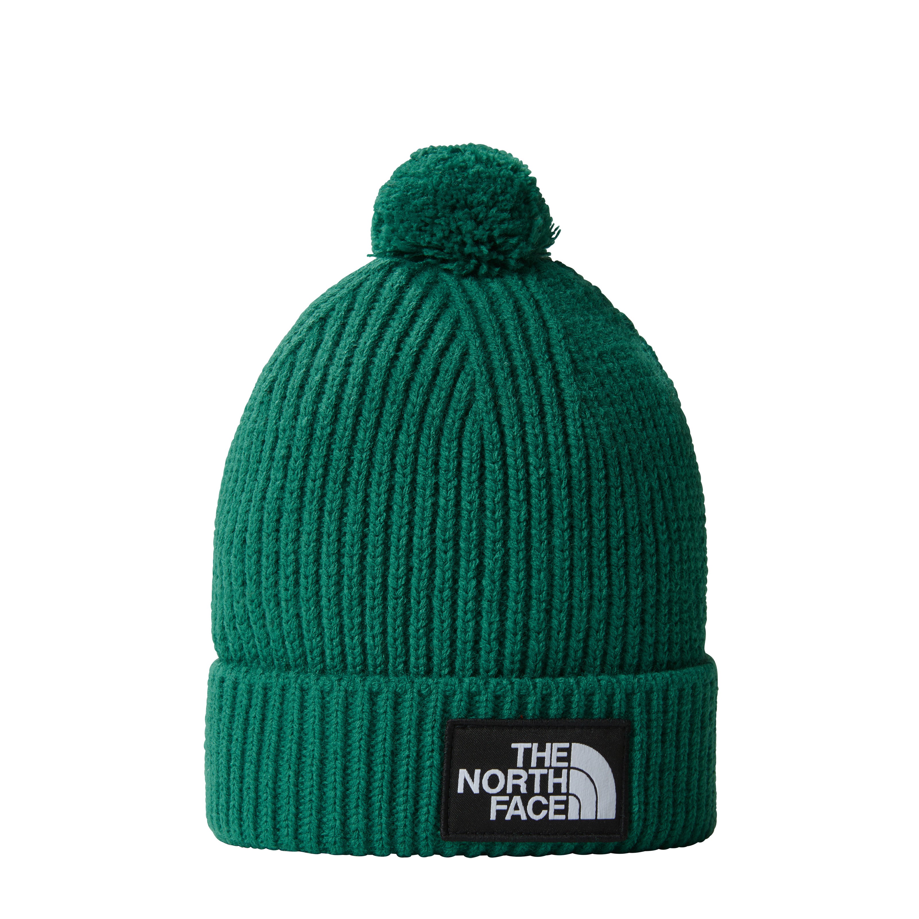 The North Face  Bonnet Vert À Pompon