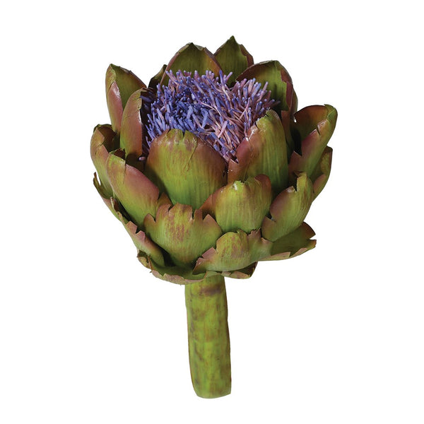 livs Large Flowering Artichoke